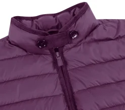 Berry Regular Classic Fit Goose Down Vest