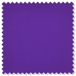 Kingsman Collection - Purple Slim Fit Shawl Collar 2 Piece Tuxedo