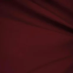Men's Burgundy Regular Fit Everyday Blazer