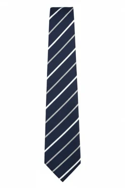 Navy Diagonal Striped Textured Tie