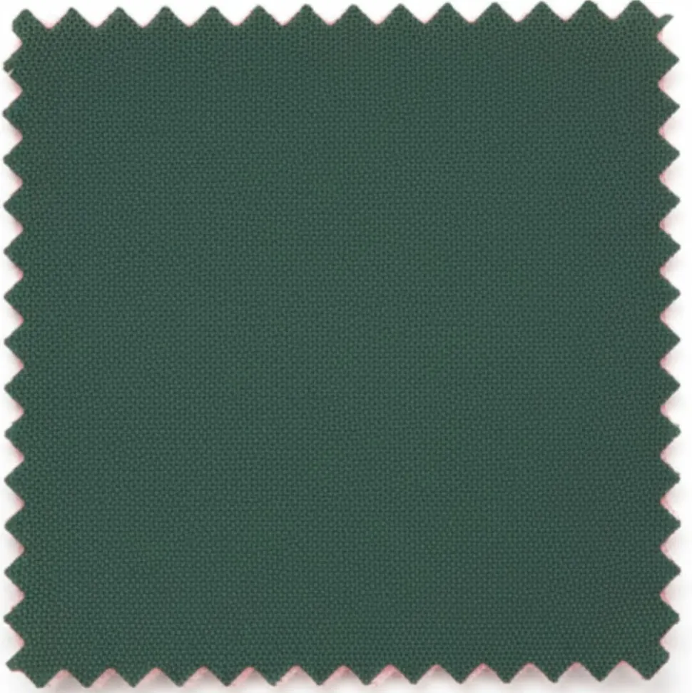 Vanderbilt Collection - Classic 2 Piece Suit 2 Buttons Regular Fit In Green
