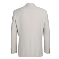 Vanderbilt Collection - Classic 2 Piece Suit 2 Buttons Regular Fit In Light Beige