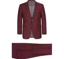 Vanderbilt Collection - Classic 2 Piece Suit 2 Buttons Regular Fit In Burgundy